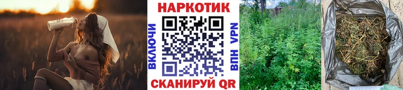Каннабис Кстово